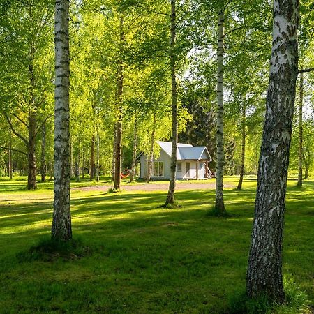Peipsi Caravani Puhkemaja Нина Экстерьер фото