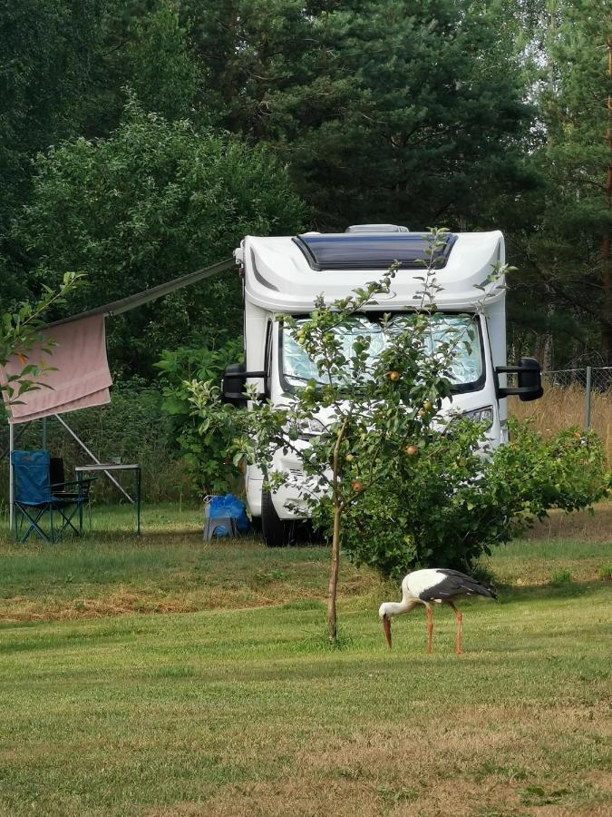 Peipsi Caravani Puhkemaja Нина Экстерьер фото