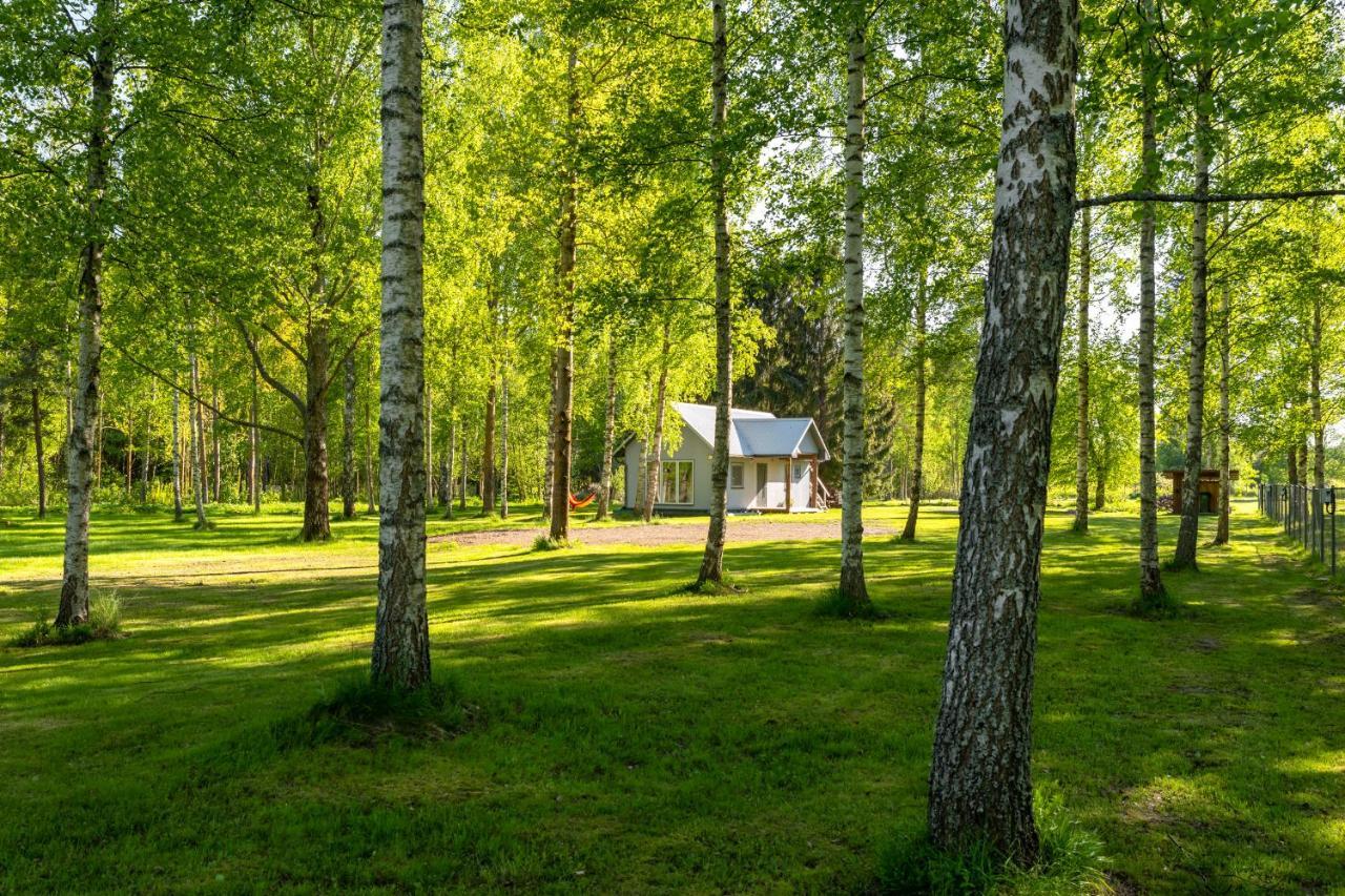Peipsi Caravani Puhkemaja Нина Экстерьер фото